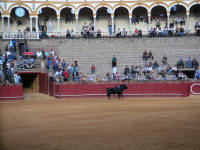 corrida01.jpg