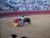 corrida06.jpg