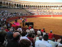 corrida13.jpg