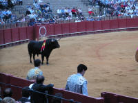 corrida18.jpg