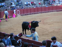 corrida22.jpg