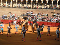 corrida26.jpg