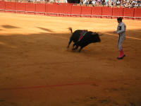 corrida32.jpg