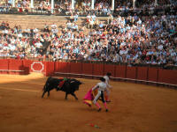 corrida33.jpg