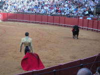 corrida37.jpg