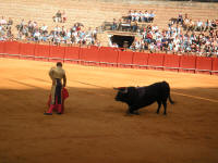 corrida39.jpg