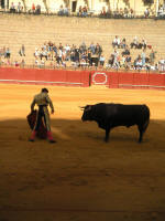 corrida42.jpg